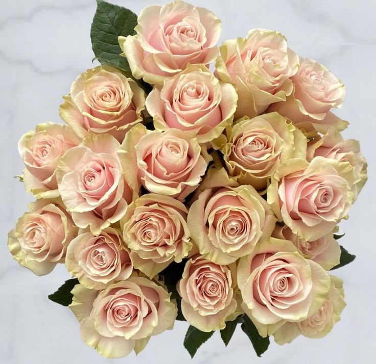 a bouquet of pink roses with green leaves on a marble tableclothed surface in front of a white wall