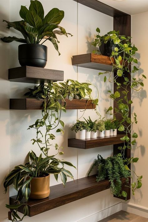 some plants are sitting on shelves in a room