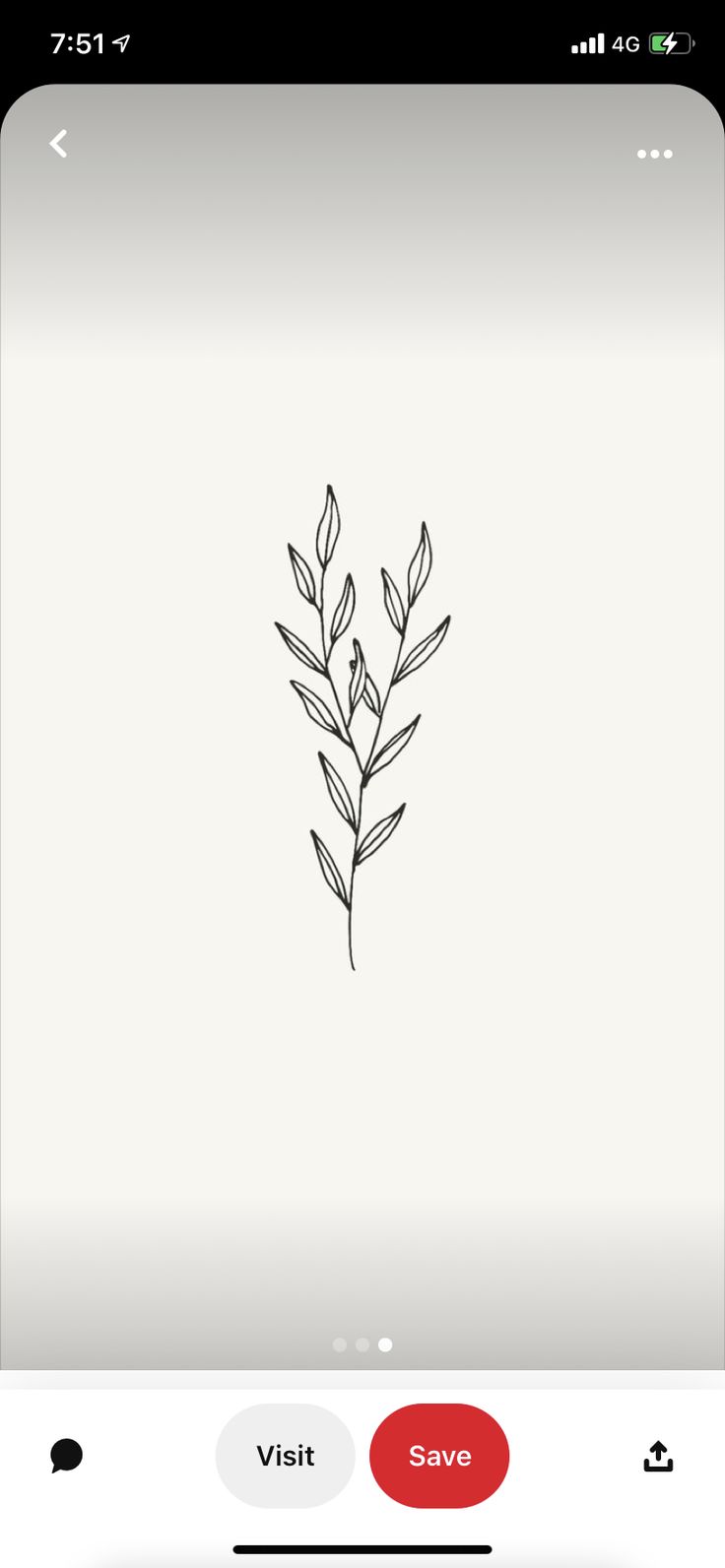 an iphone screen with a drawing of a plant on the left hand side and text that reads, visit save