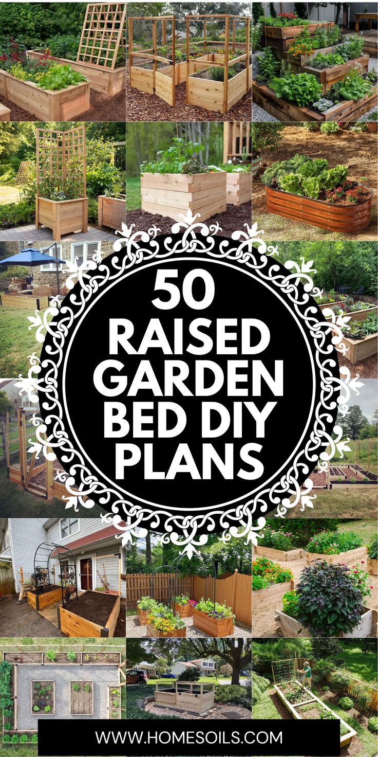 several different types of raised garden beds with text overlay that reads 50 raised garden bed plans