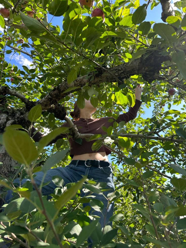 a man standing on top of a tree branch