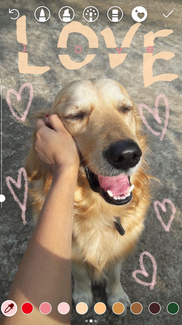 a person petting a dog with the words love written on it's face