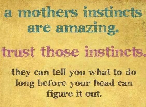 a quote from janelle ashmore about mother's insincts are amazing