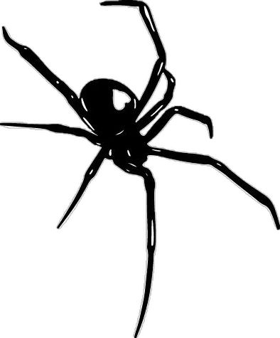 a black and white drawing of a spider