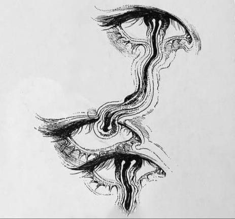 an ink drawing of two eyes with wavy lines coming out of the iris's eye