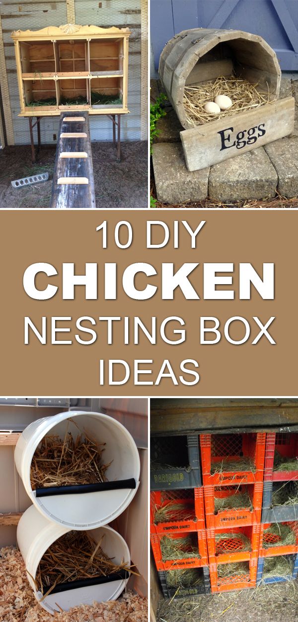 chicken nesting box ideas are great for keeping chickens and other small birds in the coop