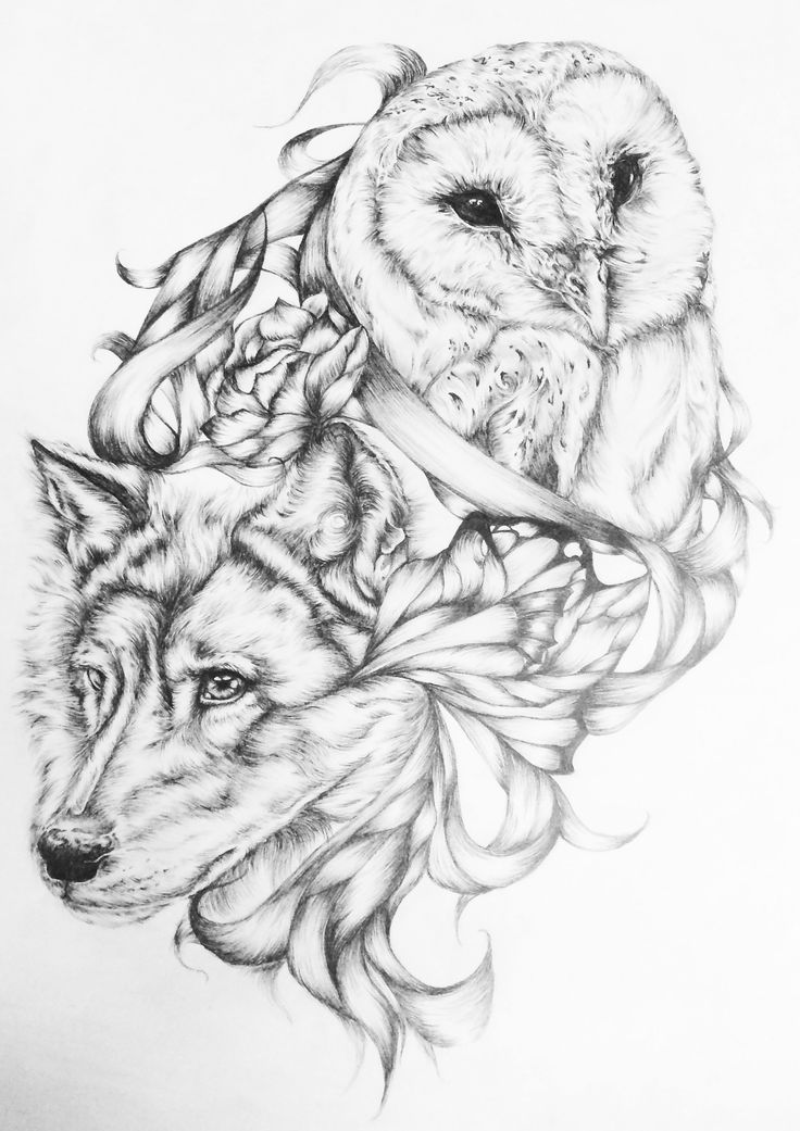 an owl sitting on top of a wolf's head with feathers around its neck