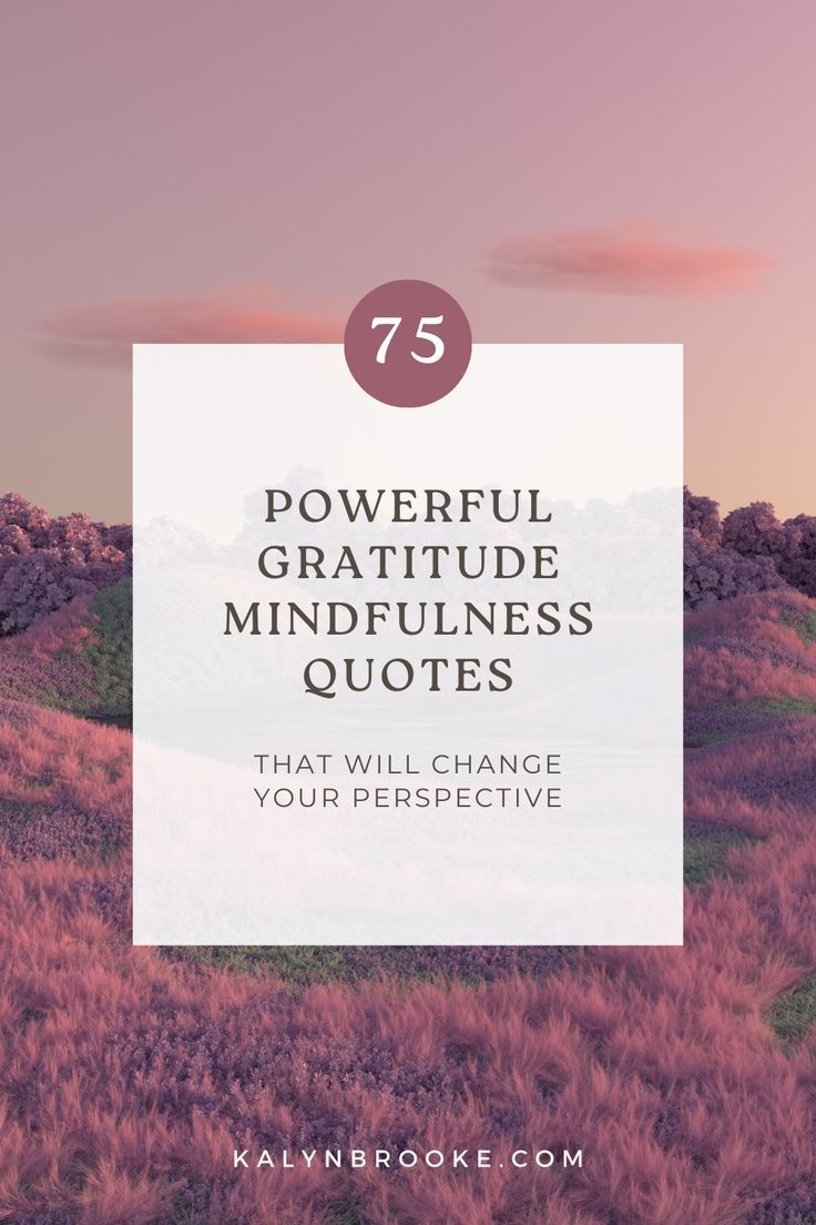 the words powerful, grateful and mindful quotes that will change your perspective on life