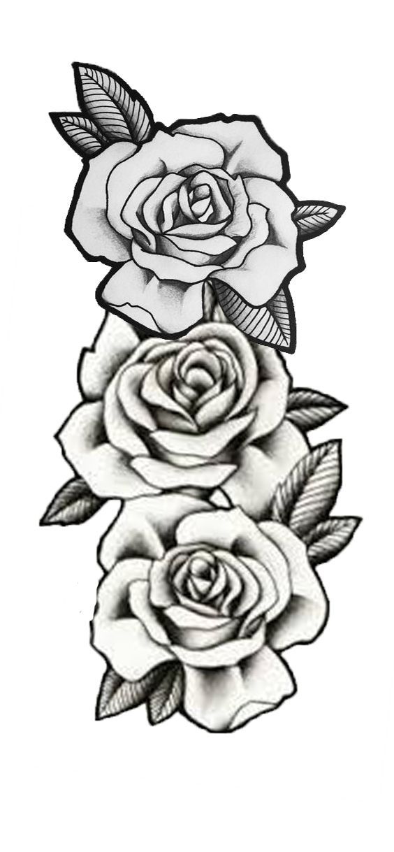 three roses with leaves on each side