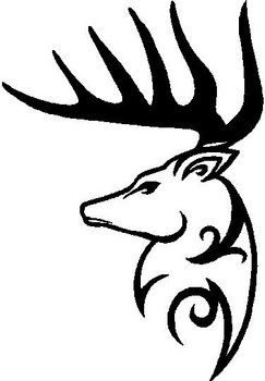 the head of a deer with large antlers on it's back and side