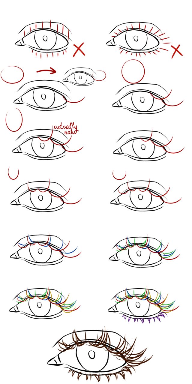 the different types of eyes and how to draw them