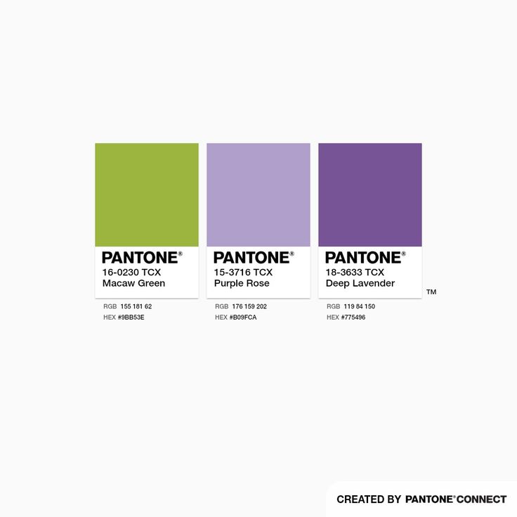 the pantone color scheme is shown in purple and green