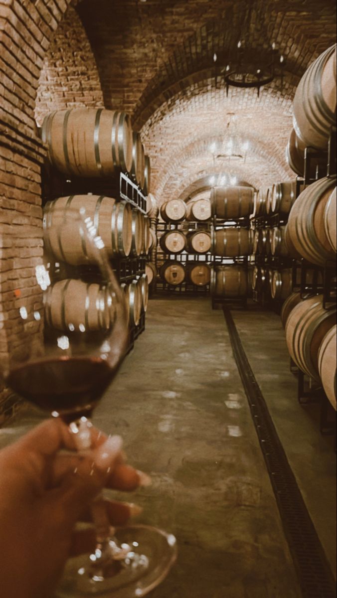 a person holding a wine glass in front of barrels