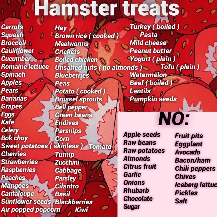 a poster with the names of different types of hamster treats in english and spanish