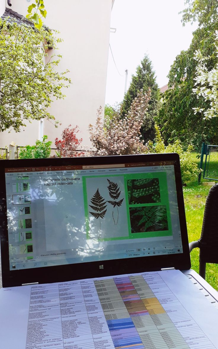 an open laptop computer sitting on top of a table covered in papers and photos next to a tree