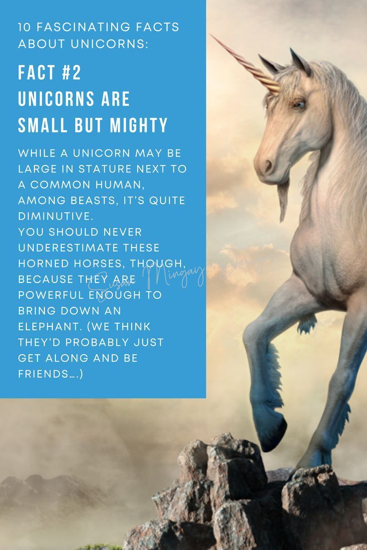 a unicorn standing on top of a rock next to a blue sign that says fact 2 unicorns are small but mighty