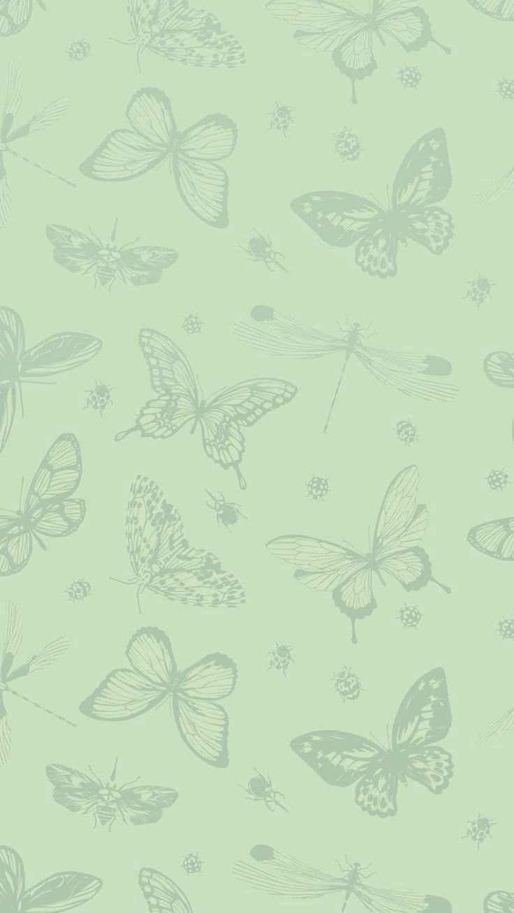 a green wallpaper with butterflies and flowers on the back ground, all in pastel shades