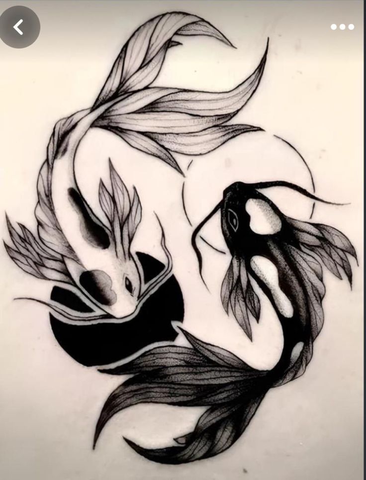 a drawing of two fish in the water with their tails curled up to each other