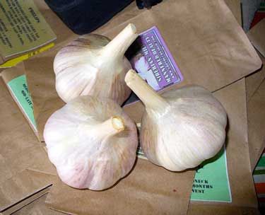 two garlics are sitting next to each other on brown paper bags and some papers