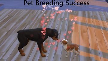 a dog and cat playing with each other on a wooden floor in front of the words pet breeding success