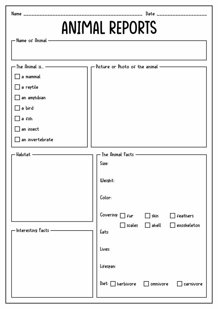 an animal report is shown in the form of a blank sheet with animals on it