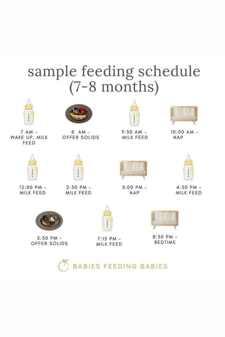 the baby feeding schedule is shown with different items