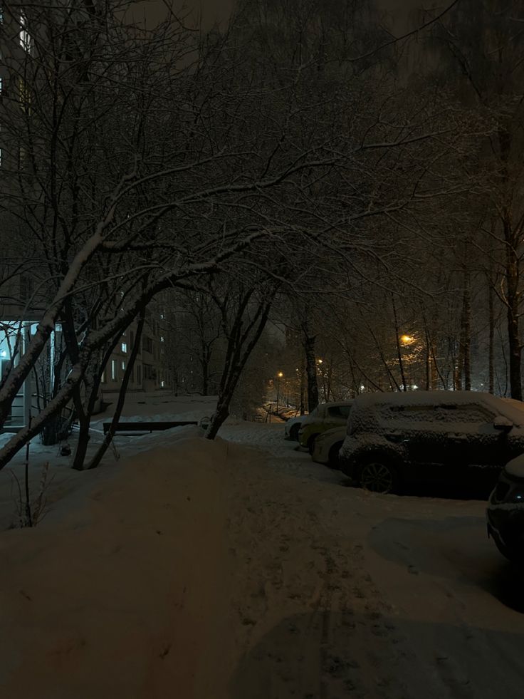 a snowy street at night with cars parked on the side