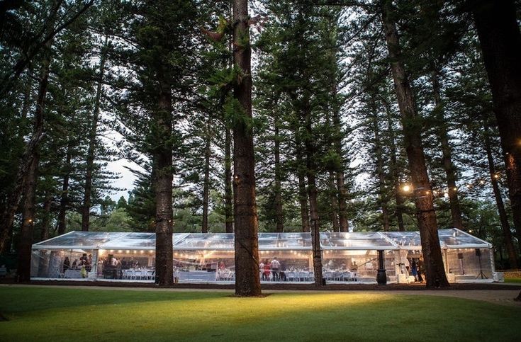 a tent in the middle of a forest with people standing around it at night time