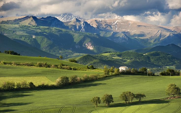 a green field with mountains in the background