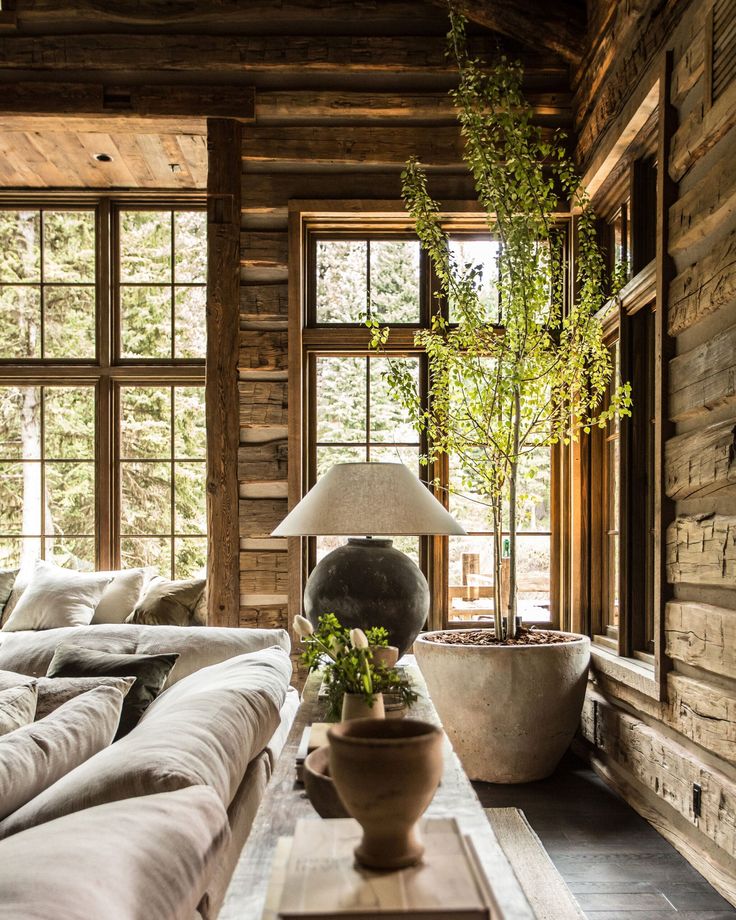 a living room filled with furniture and windows next to a plant in a pot on top of a table