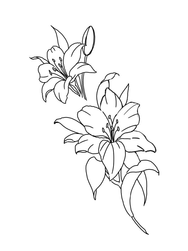 three flowers are shown in this black and white drawing, with one flower on the left side