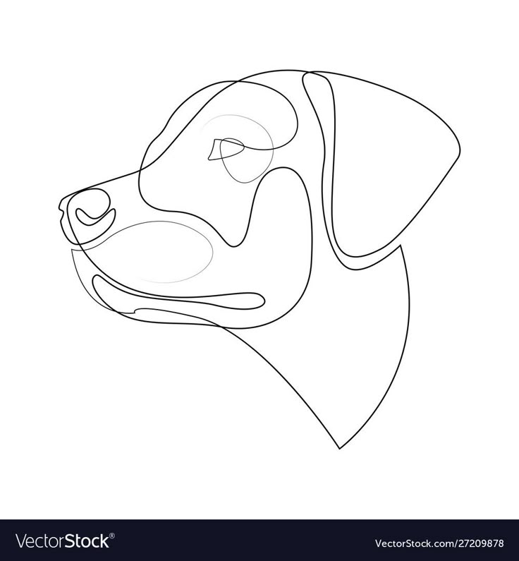 a line drawing of a dog's head