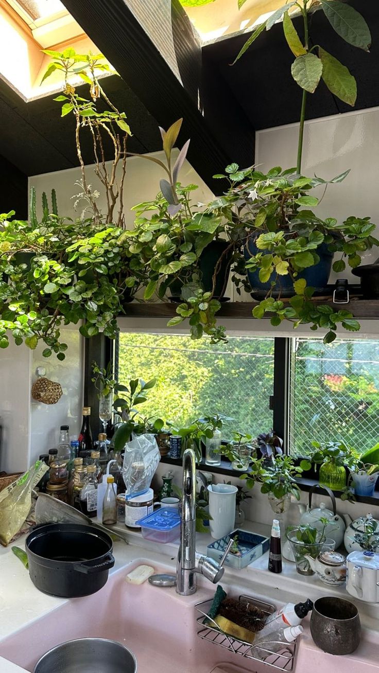 the kitchen sink is full of plants and other things that are hanging from the ceiling