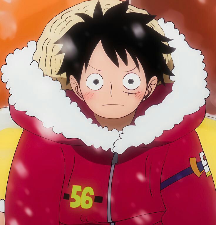 an anime character wearing a red coat with white fur around his neck and black hair