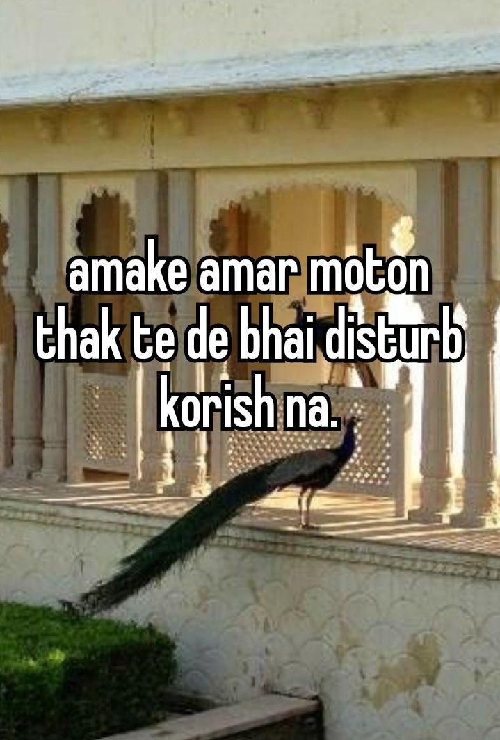 a peacock sitting on top of a building with the words anake amar moton tha