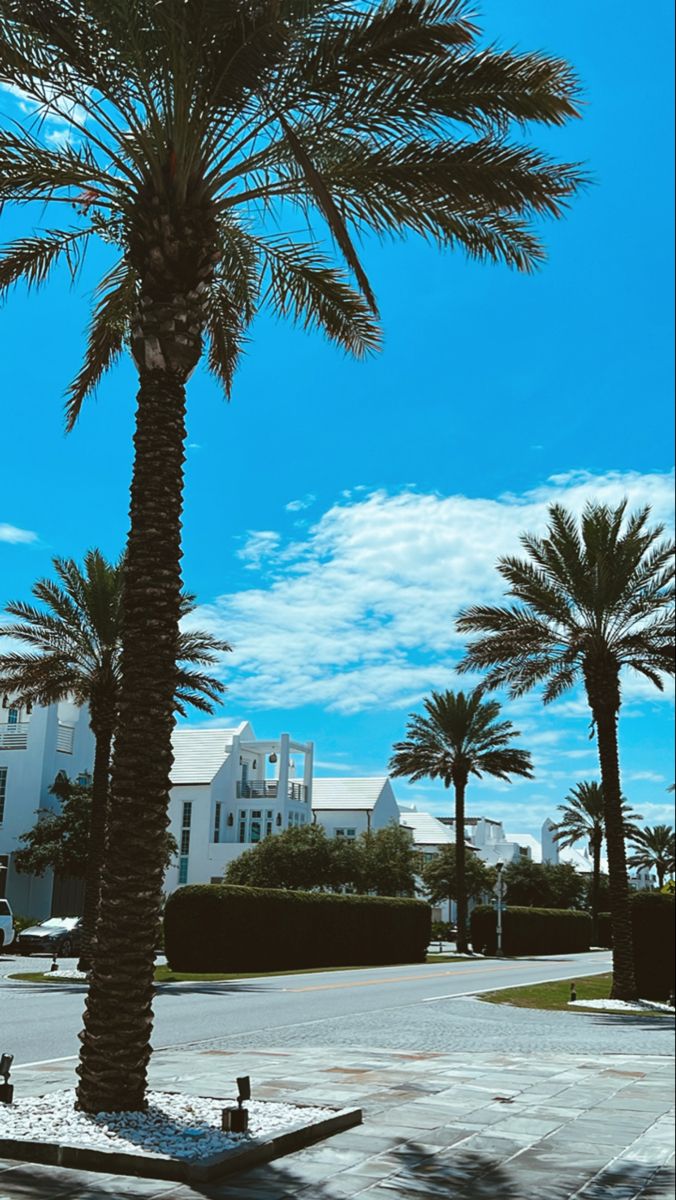 Palms trees and white buildings along the beach 30a Florida, Alys Beach, Beach Pics, Emerald Coast, Summer 3, Pink Summer, All White, Beach Pictures, The Cutest