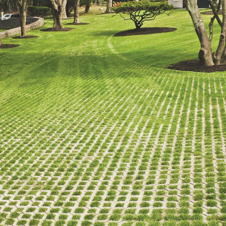 an area with grass and trees in the middle, surrounded by dirt paths that have been cut into squares