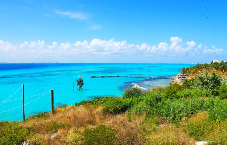 an ocean view with blue water and trees