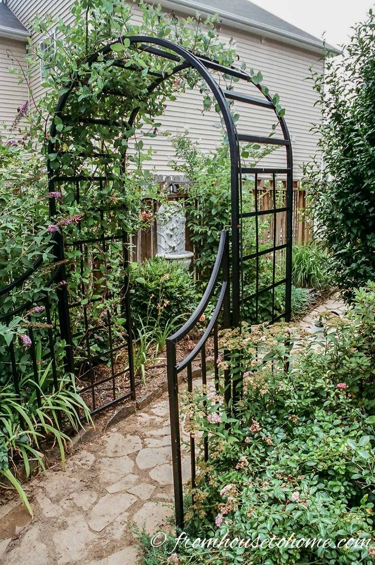 a garden with lots of plants growing around it