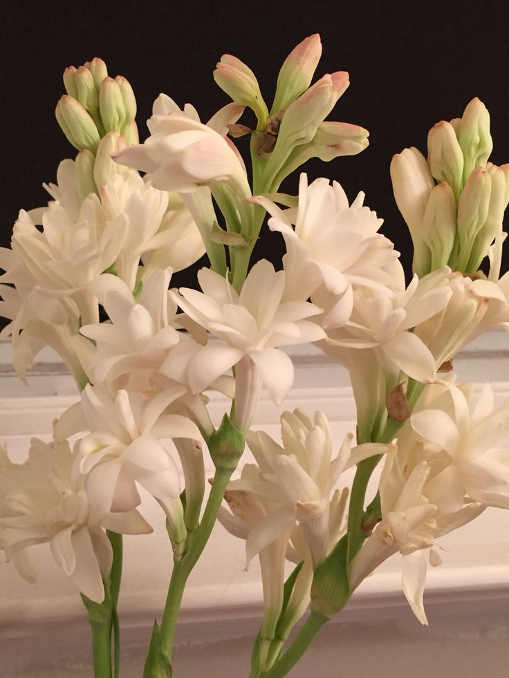 some white flowers are in a glass vase