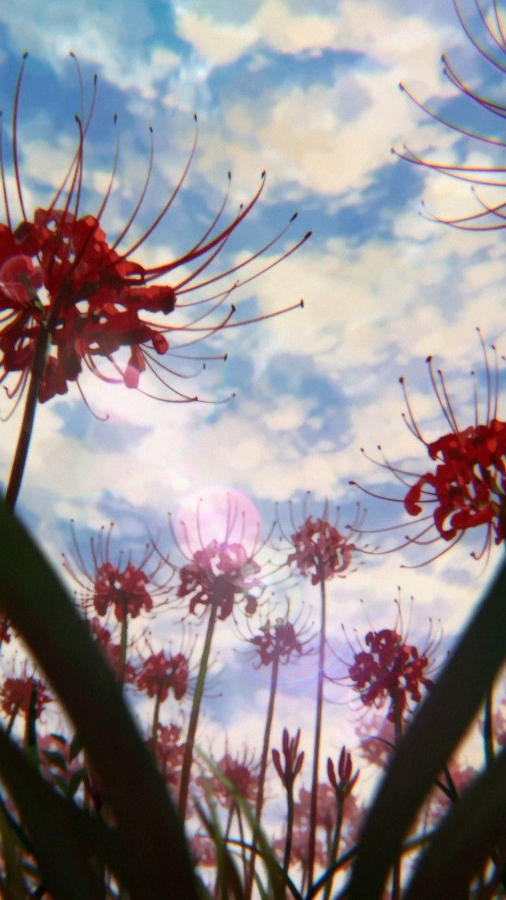 some very pretty red flowers in the sky