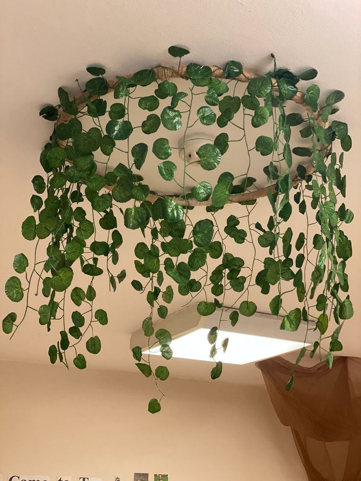 a green plant is hanging from the ceiling