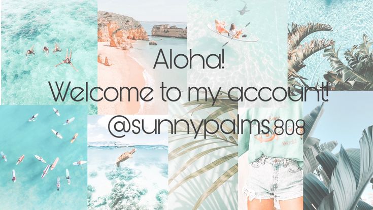 ☀︎︎ Sunny palms ☀︎︎