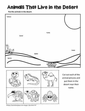 animals that live in the desert worksheet