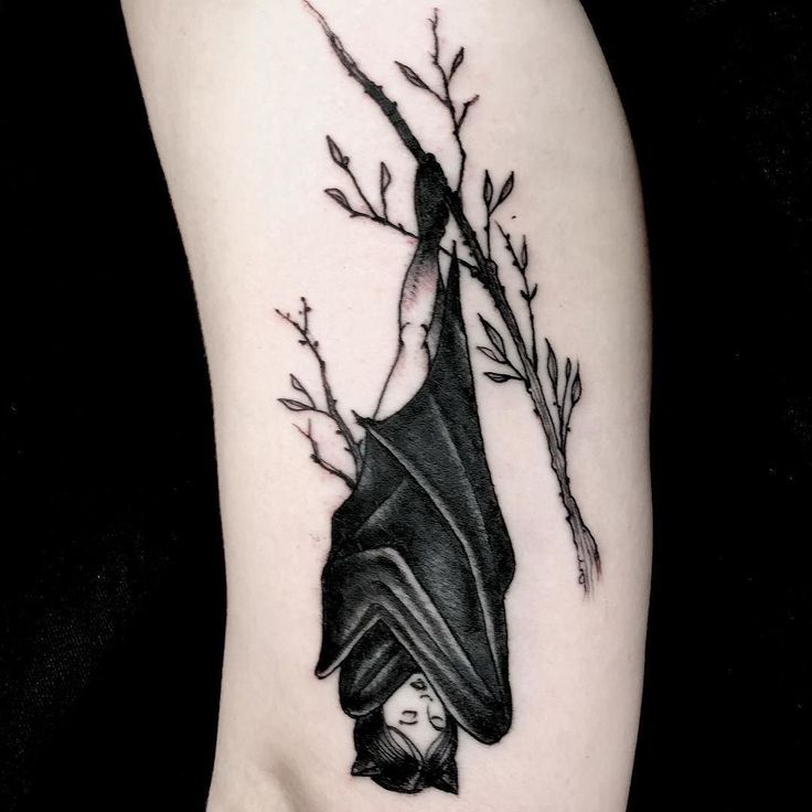 a woman's arm with a bat tattoo on it, and the caption reads