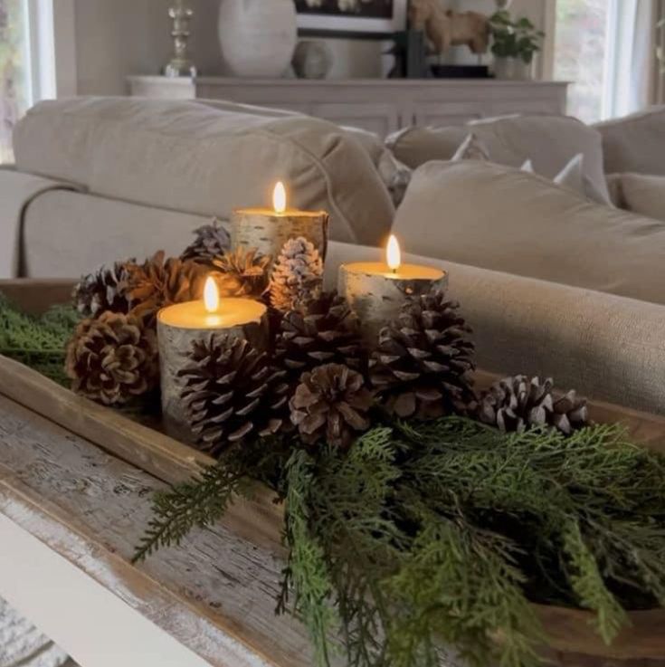 some pine cones are sitting on a tray with candles in it and greenery is around the edge