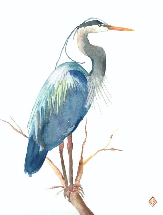 a watercolor painting of a blue heron perched on a tree branch