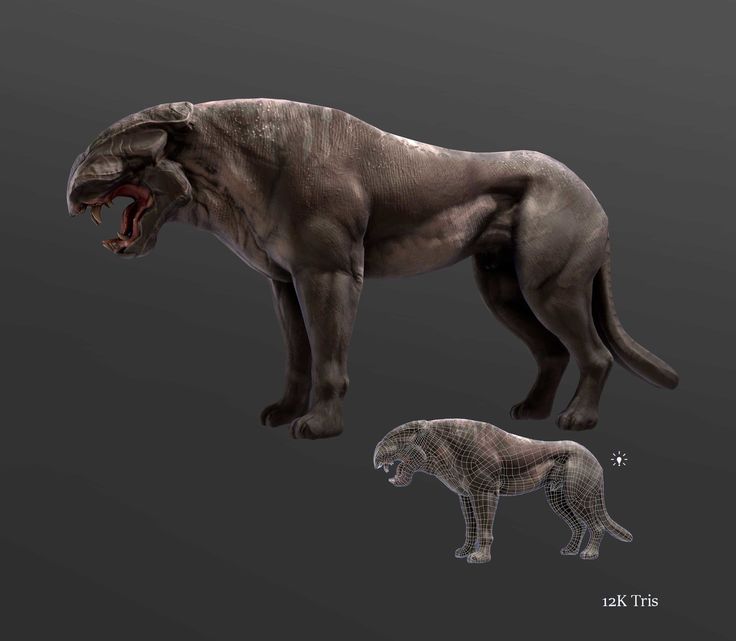 an animal is shown in three different poses, including a large dog and a smaller cat