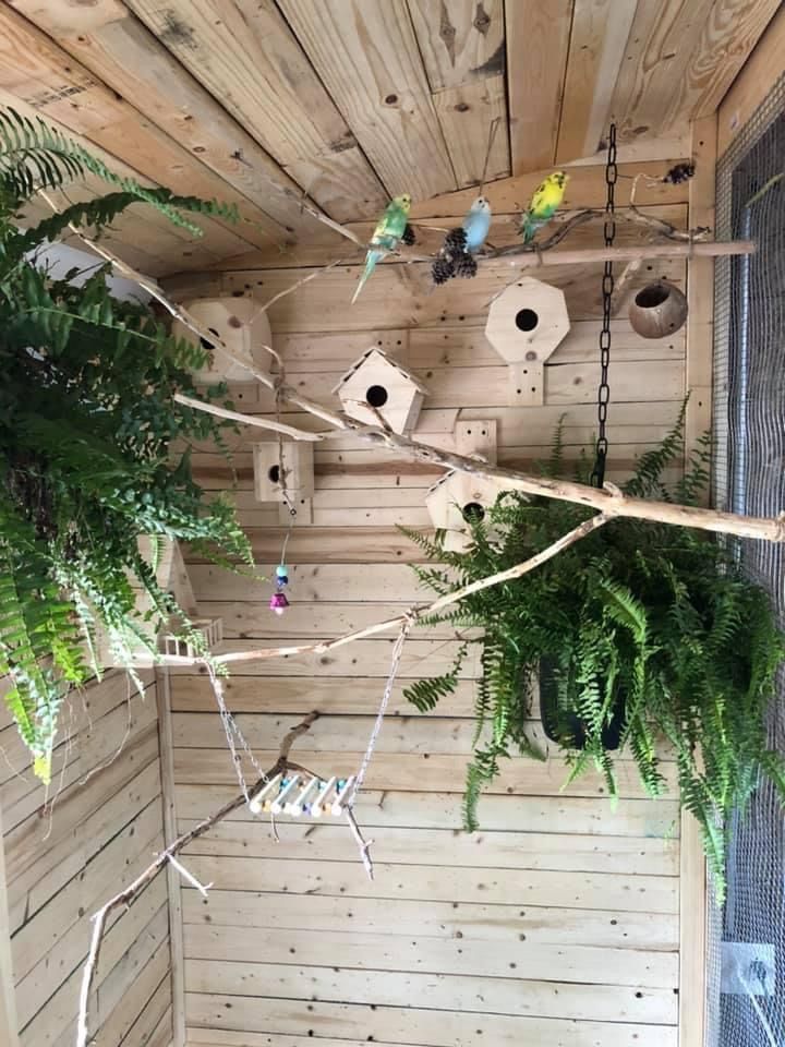 a room with wooden walls and plants hanging from the ceiling, along with birdhouses