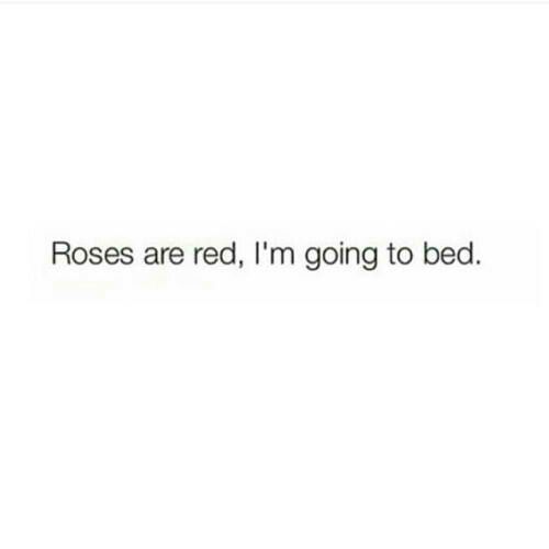 the text reads roses are red, i'm going to bed